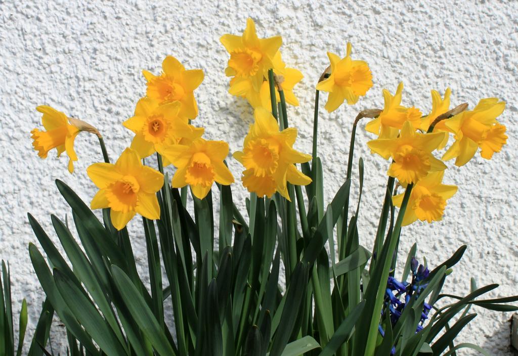 Craik Na Dav Bed & Breakfast