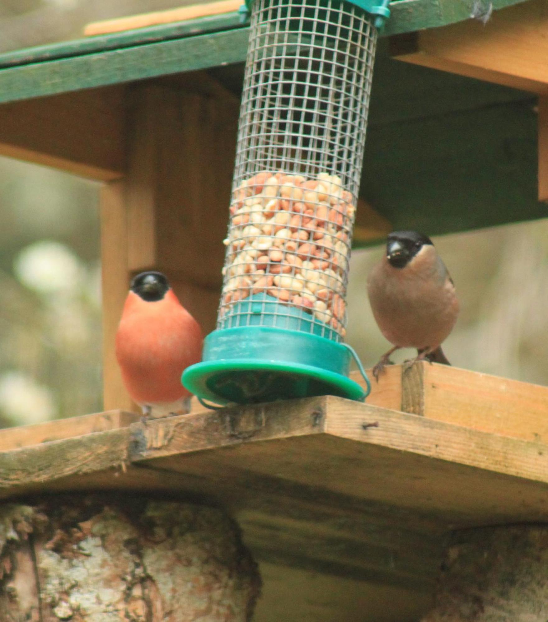 Craik Na Dav Bed & Breakfast Invermoriston