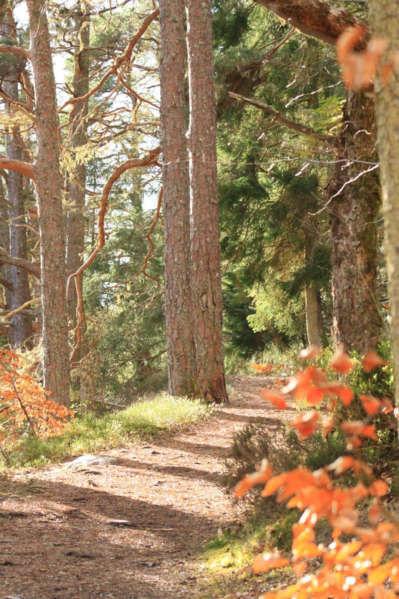 Craik Na Dav 3* Invermoriston
